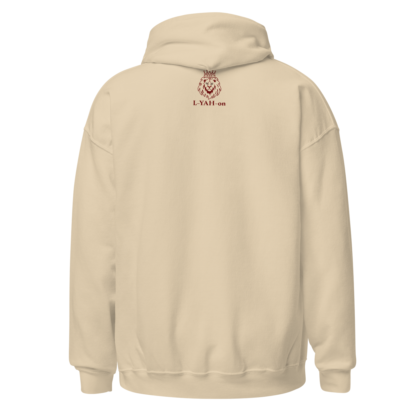 Make Today Great Hoodie