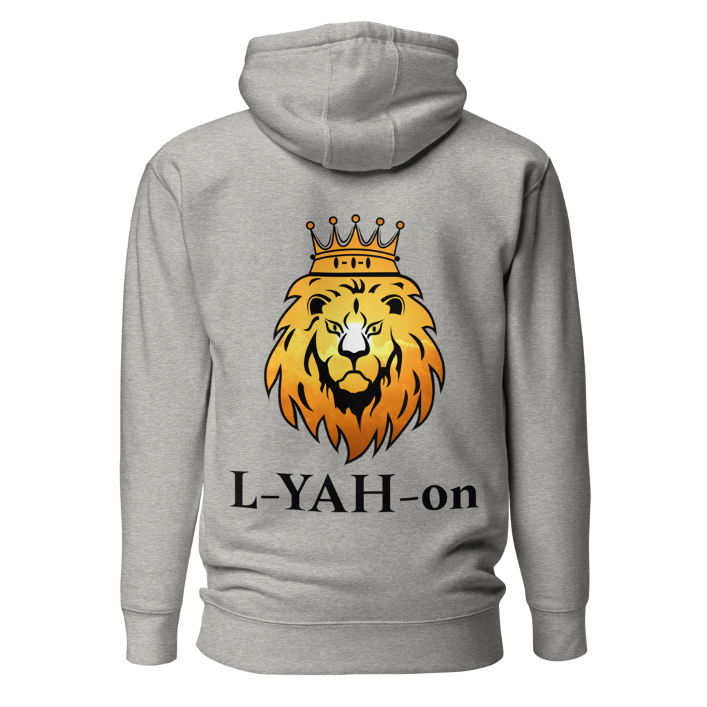 Special ViV Double L-YAH-on Hoodie