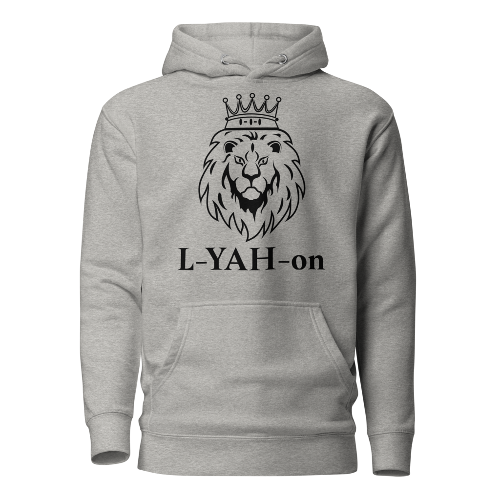 Special ViV Double L-YAH-on Hoodie