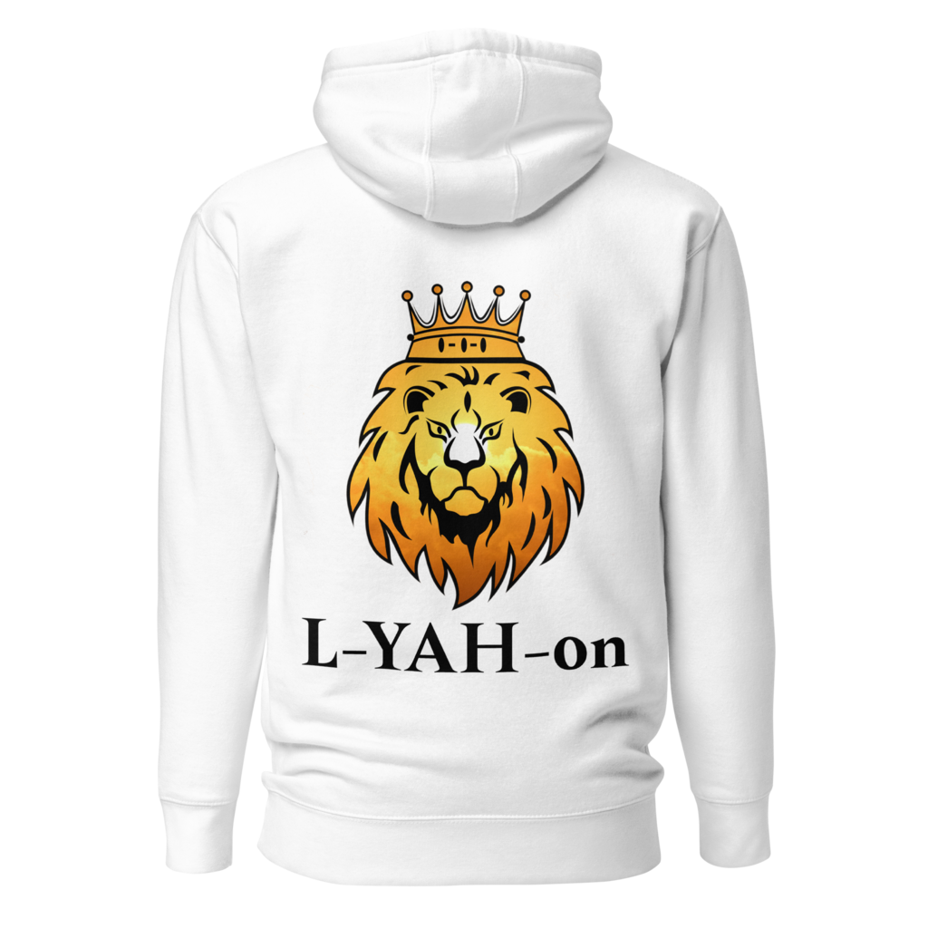 Special ViV Double L-YAH-on Hoodie
