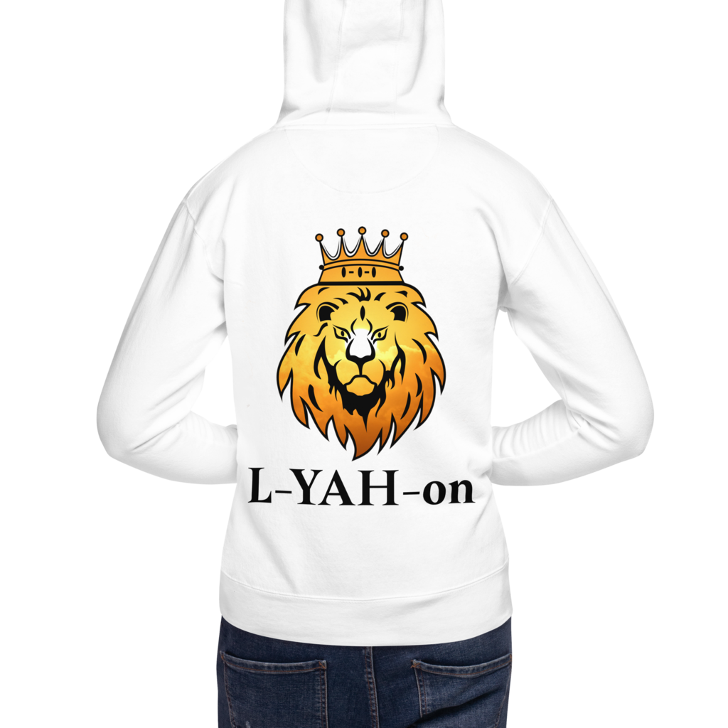 Special ViV Double L-YAH-on Hoodie
