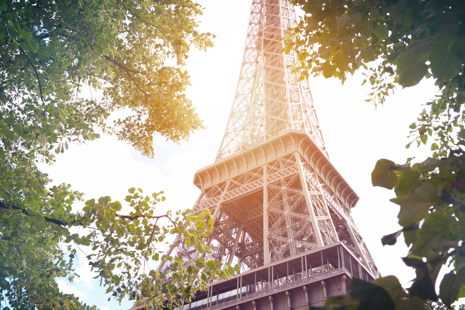 Paris Inspired