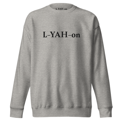 Gray sweatshirt with 'Lake Amelia' text on a white background