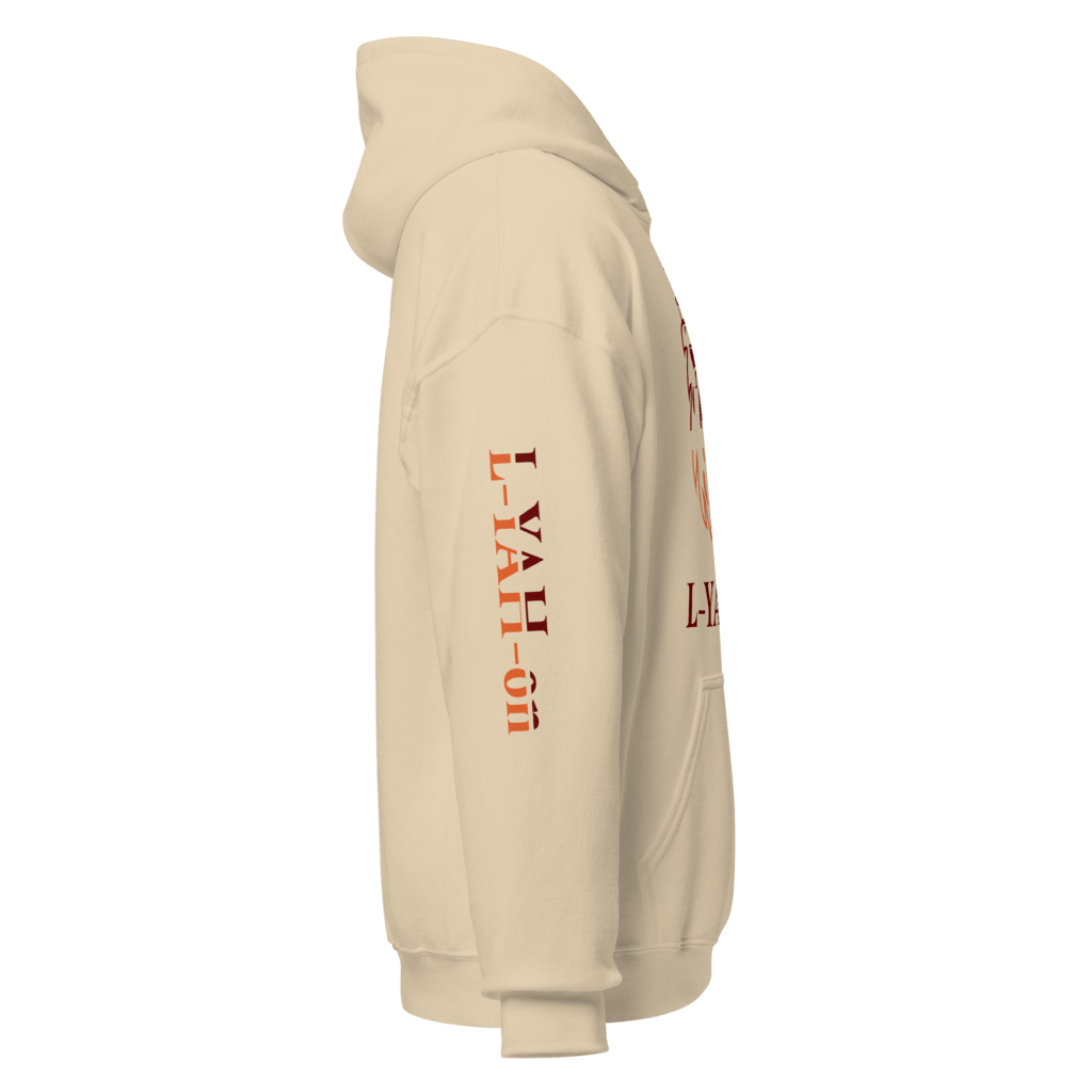 inspirational graphic hoodie - faith-based online store