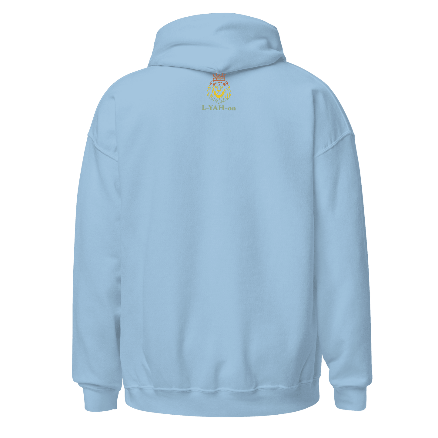 Light blue hoodie with a logo on the back