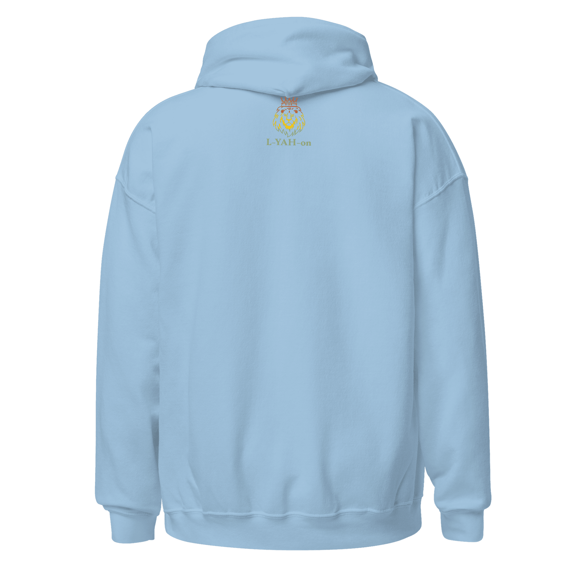 Light blue hoodie with a logo on the back