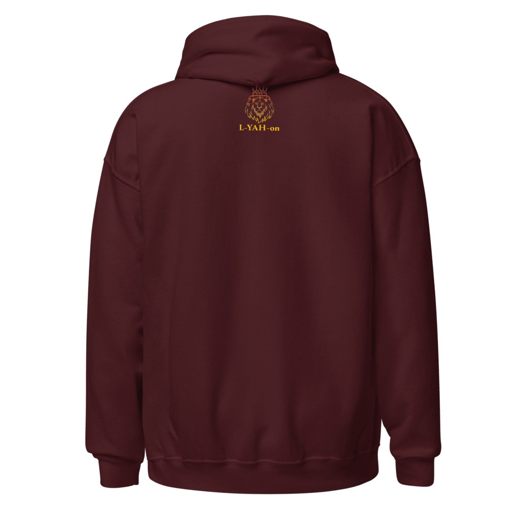 inspirational graphic hoodie - faith-based online store