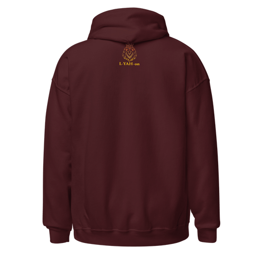 inspirational graphic hoodie - faith-based online store
