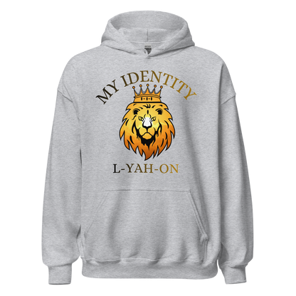 Gray hoodie with a lion graphic and text on a white background