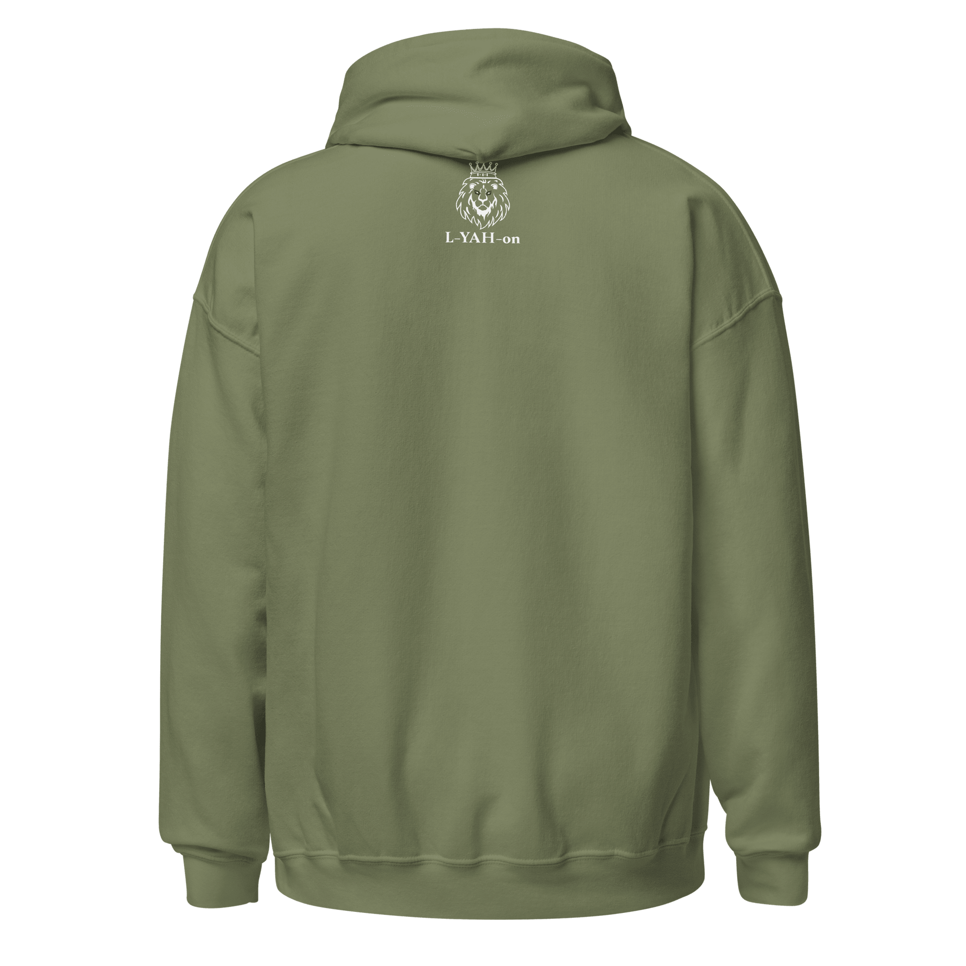 inspirational graphic hoodie - faith-based online store