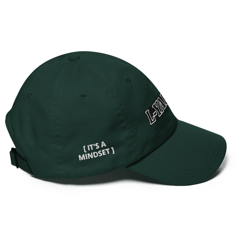 classic dad hat - YHWH accessories